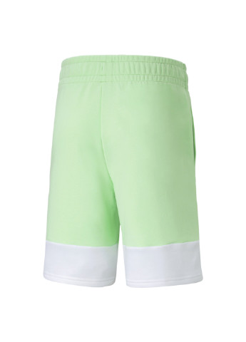 Шорти Power Summer Colourblock Shorts Men Puma (257039821)