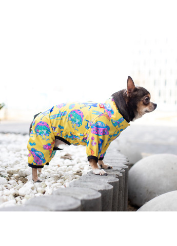 Дождевик для собак рисунок "Рик и Морти 3" XS22 WAUDOG (257086141)