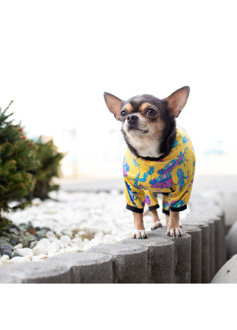 Дождевик для собак рисунок "Рик и Морти 3" XS22 WAUDOG (257086141)