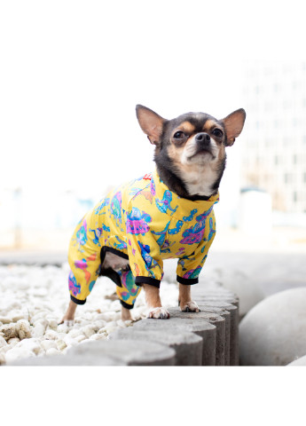 Дождевик для собак рисунок "Рик и Морти 3" XS22 WAUDOG (257086141)