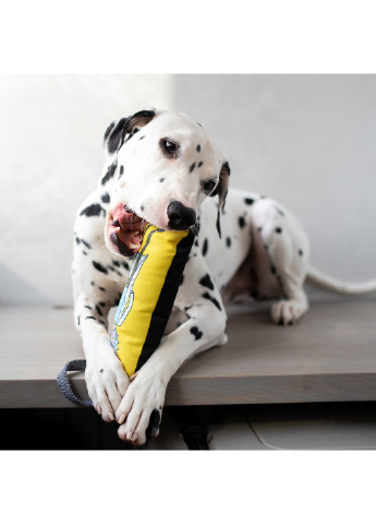 Іграшка для собак з пищалкою, малюнок Рік та Морті 2" 26 см WAUDOG (257084317)