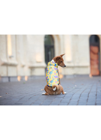 Курточка для собак малюнок "Рік та Морті 3" M50 WAUDOG (257083135)