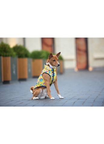 Курточка для собак рисунок "Рик и Морти 3" M50 WAUDOG (257083135)