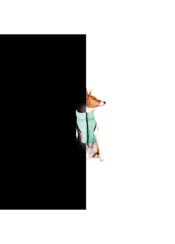 Курточка для собак двусторонняя, светящаяся M47 Airy Vest (257085829)