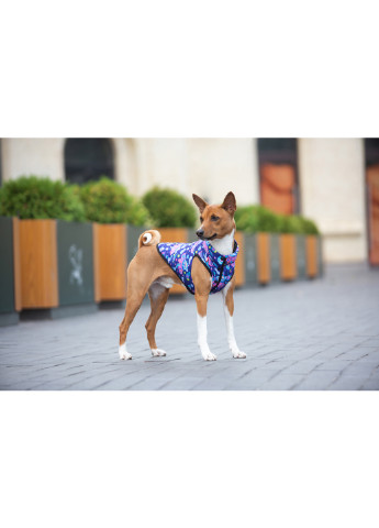 Курточка для собак рисунок "Рик и Морти 1" L65 WAUDOG (257085672)