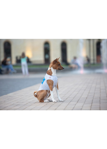 Майка для собак рисунок "Смелость" M47 WAUDOG (257084277)