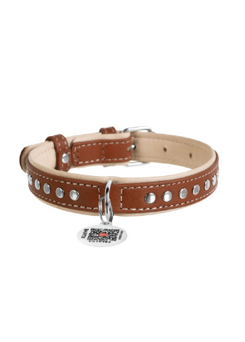 Нашийник для собак шкіряний з QR паспортом, металеві прикраси M WAUDOG (257084634)