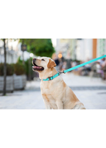 Повідець для собак водостійкий, що світиться 183х2,5 см WAUDOG (257084477)