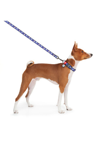 Поводок для собак нейлоновый рисунок "Рик и Морти 2" 122х2 см WAUDOG (257085457)