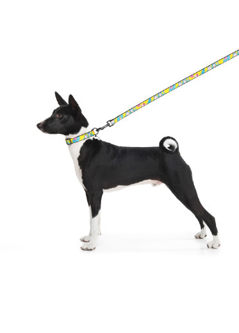 Повідець для собак нейлоновий малюнок "Рік і Морті 1" 122х2 см WAUDOG (257083362)