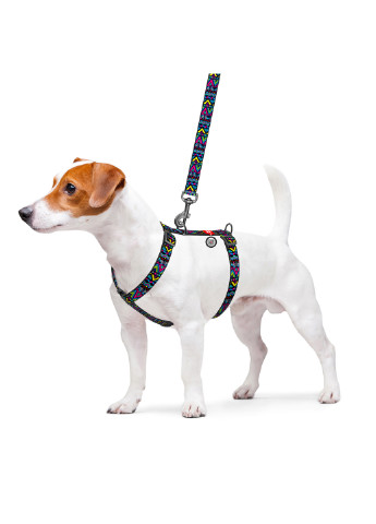 Шлея для собак анатомічний H-подібний з QR-паспортом, малюнок "Інді" S WAUDOG (257085261)