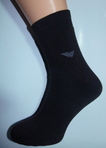 Шкарпетки чоловічі ТМ "Нова пара" плюш 411 НОВА ПАРА середня висота (257108331)