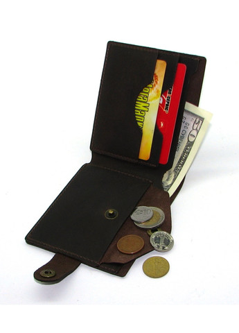 Кожаный мужской кошелек с монетницей DNK Leather (257135621)