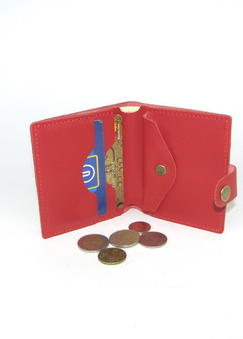 Кожаный женский кошелек с монетницей DNK Leather (257135624)