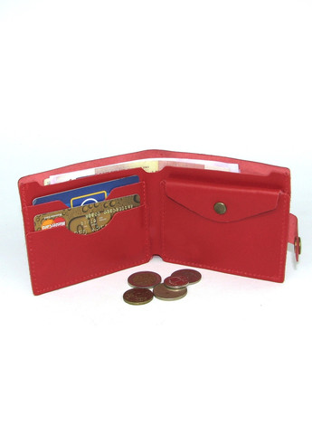 Кожаный женский кошелек с монетницей DNK Leather (257135625)