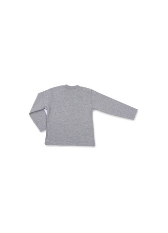 Серый демисезонный набор детской одежды кофта и брюки серый меланж " brooklyn" (7882-86b-gray) Breeze