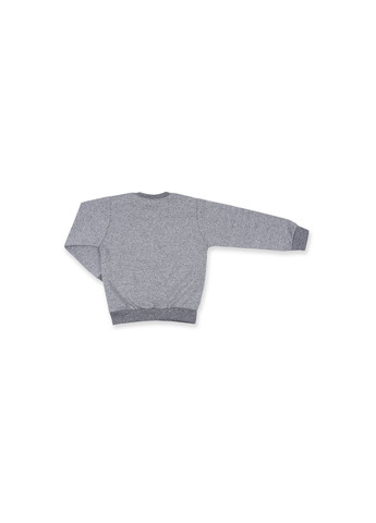 Сірий демісезонний набір дитячого одягу кофта з брюками "look" (8074-74b-gray) Breeze