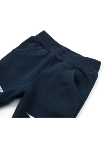 Сірий демісезонний набір дитячого одягу з тигриком (13251-80b-gray) Breeze