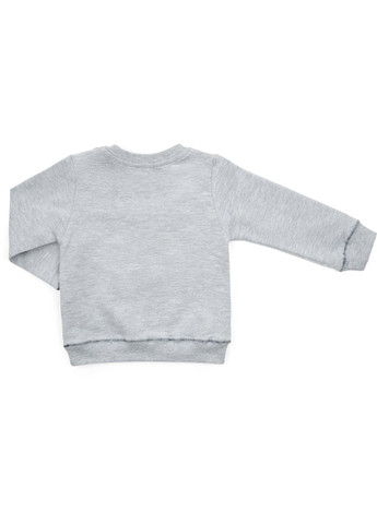 Сірий демісезонний набір дитячого одягу з тигриком (13251-80b-gray) Breeze