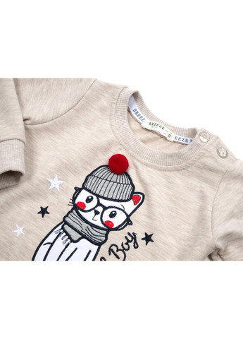 Бежевый демисезонный набор детской одежды с котиком (14725-80b-beige) Breeze