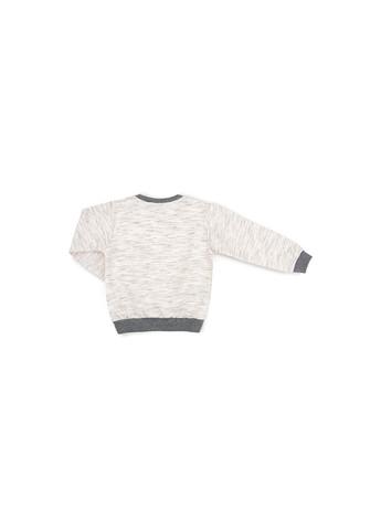 Сірий демісезонний набір дитячого одягу "new york" (11654-116b-gray) Breeze