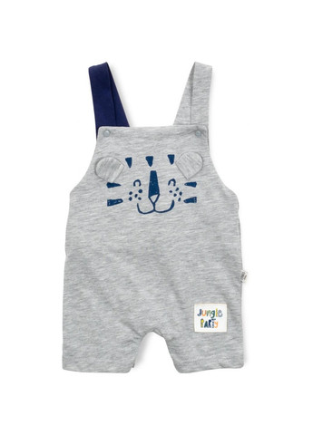 Сірий літній набір дитячого одягу з тигриком (2834-68b-gray) Tongs