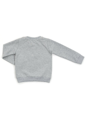 Серый демисезонный набор детской одежды с тигриком (14730-92b-gray) Breeze