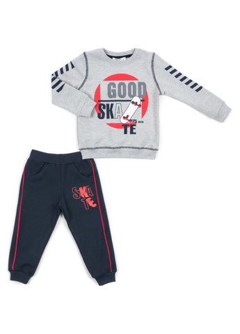 Сірий демісезонний набір дитячого одягу "good skate" (13263-110b-gray) Breeze