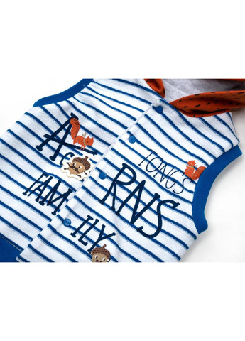 Блакитний демісезонний набір дитячого одягу із жилетом (2824-80b-blue) Tongs