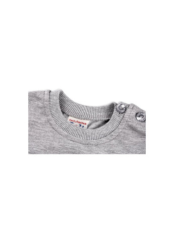 Серый демисезонный набор детской одежды с тигриком (7214-86/b-gray) Breeze