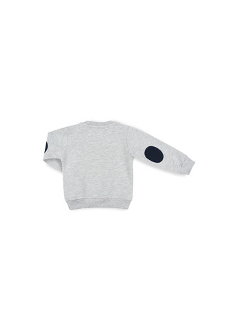 Серый демисезонный набор детской одежды с обезьянкой (11244-98b-gray) Breeze
