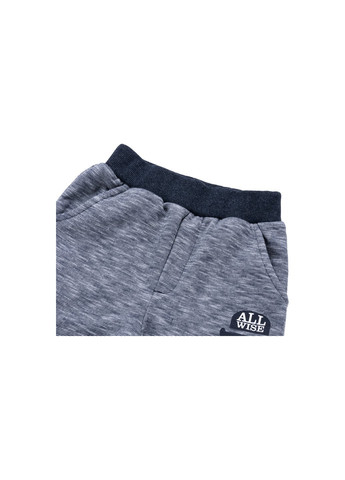 Голубой демисезонный набор детской одежды с собачкой в шляпе (8713-74b-blue) Breeze