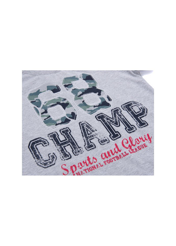 Серый летний набор детской одежды "68 champ" (8964-116b-gray) E&H