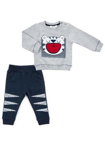 Серый демисезонный набор детской одежды с тигриком (13251-104b-gray) Breeze