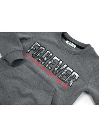 Серый демисезонный набор детской одежды "forever" (13267-128b-gray) Breeze