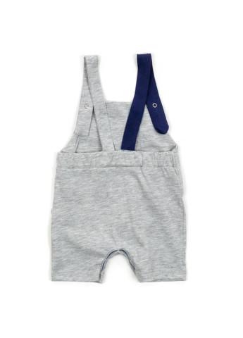 Сірий літній набір дитячого одягу з тигриком (2834-62b-gray) Tongs