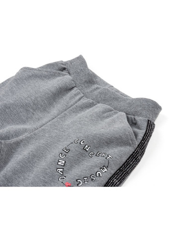 Сірий демісезонний набір дитячого одягу зі срібними лампасами (12973-128g-gray) Breeze