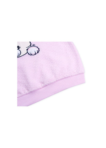 Рожевий демісезонний набір дитячого одягу кофта з брюками з котиком та бантиком (8371-68g-pink) Breeze