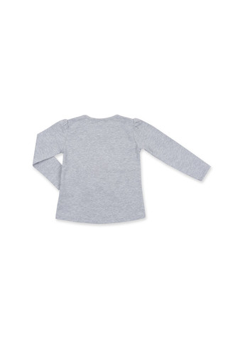 Комбинированный демисезонный набор детской одежды с объемной аппликацией (8401-98g-gray) Breeze