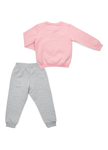 Комбинированный демисезонный набор детской одежды с мишками (16102-104g-pink) Breeze