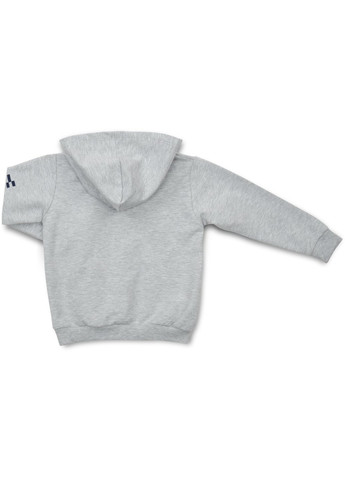 Спортивный костюм с медвежонком (18105-110B-gray) Breeze (257139720)