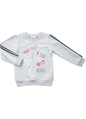 Спортивний костюм з лампасами (13666-116G-gray) Breeze (257142657)