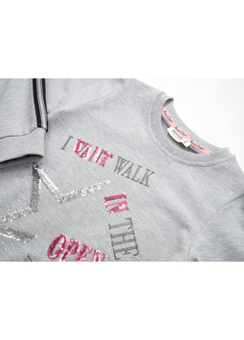 Спортивний костюм з лампасами (13666-116G-gray) Breeze (257142657)