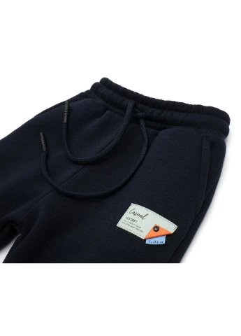 Спортивный костюм флисовый (CL0215003-104-blue) Cloise (257143395)