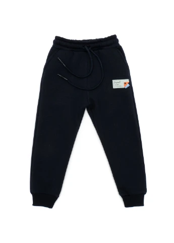 Спортивный костюм флисовый (CL0215003-104-blue) Cloise (257209453)