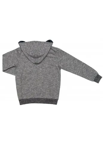 Спортивний костюм з капюшоном (9486-104B-gray) Breeze (257208797)