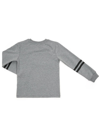 Комбинированный демисезонный набор детской одежды "no problems!" (13229-152g-gray) Breeze