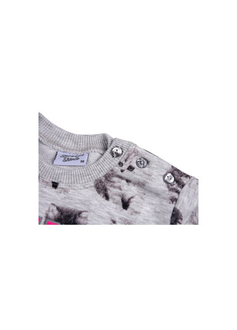 Серый демисезонный набор детской одежды кофта и брюки серый меланж (7874-86g-gray) Breeze