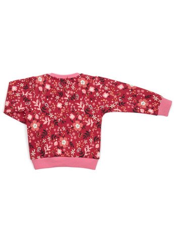 Комбинированный демисезонный набор детской одежды на флисе (17306-104g-red) Breeze
