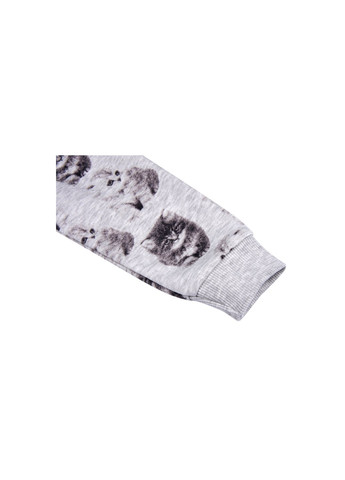 Сірий демісезонний набір дитячого одягу з котиками (7874-98/g-gray) Breeze